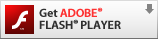 Install Adobe Flash Player